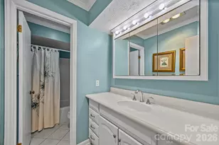 6777 Pinnacle Mountain Rd, Zirconia, NC 28790 - Photo 14