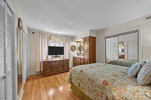 6777 Pinnacle Mountain Rd, Zirconia, NC 28790 - Photo 12