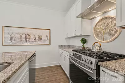 517 Brevard Street, Waxhaw, NC 28173 - Photo 10