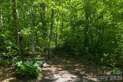 9999 Mount Allen Heights, Black Mountain, NC 28711 - Photo 8