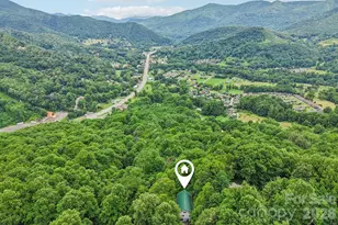1061 Setzer Cove Rd, Maggie Valley, NC 28751 - Photo 44