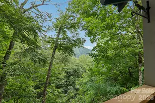 1061 Setzer Cove Rd, Maggie Valley, NC 28751 - Photo 4