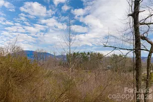 153-B Hackleburg Ln, Hendersonville, NC 28792 - Photo 4