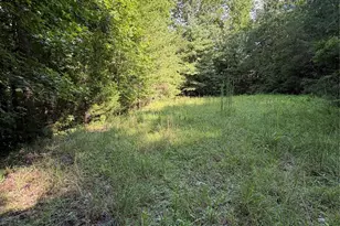 0 Greenhill Farms Dr, Rutherfordton, NC 28139 - Photo 1
