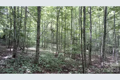 0 Dry Creek Road, Robbinsville, NC 28771 - Photo 6