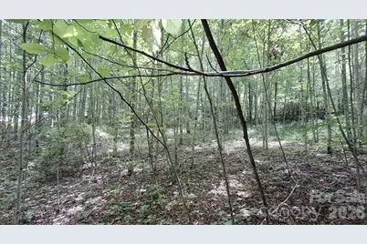 0 Dry Creek Road, Robbinsville, NC 28771 - Photo 4