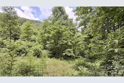 0 Dry Creek Road, Robbinsville, NC 28771 - Photo 2
