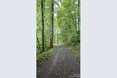 0 Dry Creek Road, Robbinsville, NC 28771 - Photo 16