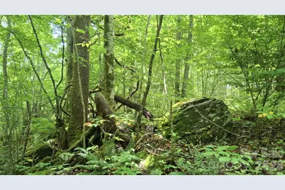 0 Dry Creek Road, Robbinsville, NC 28771 - Photo 12