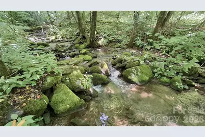 0 Dry Creek Road, Robbinsville, NC 28771 - Photo 10