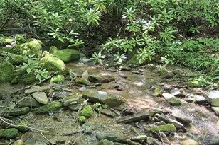 0 Dry Creek Rd, Robbinsville, NC 28771 - Photo 1