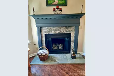 208 Snowy Egret Way, Hendersonville, NC 28792 - Photo 8
