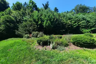 208 Snowy Egret Way, Hendersonville, NC 28792 - Photo 18