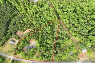 1335 Little Mountain Rd, Columbus, NC 28722 - Photo 2