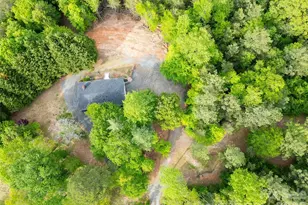 1335 Little Mountain Rd, Columbus, NC 28722 - Photo 40