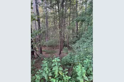 Lot 1 Mathis Church Road, Catawba, NC 28609 - Photo 2
