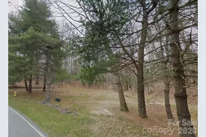 1008 Indian Cave Road, Hendersonville, NC 28739 - Photo 2