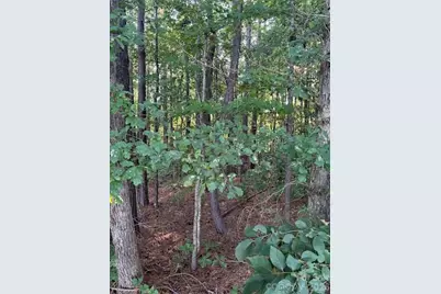 Lot 2 Mathis Church Road, Catawba, NC 28609 - Photo 2