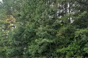 Lot 2 Mathis Church Rd, Catawba, NC 28609 - Photo 1