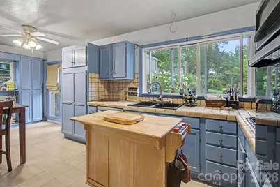 25 Wentworth Avenue, Asheville, NC 28803 - Photo 12
