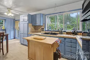 25 Wentworth Ave, Asheville, NC 28803 - Photo 12