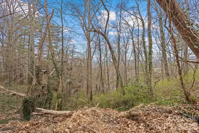 99999 Sunset Drive, Asheville, NC 28804 - Photo 6