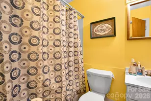 308 S Pine St, Dallas, NC 28034 - Photo 10