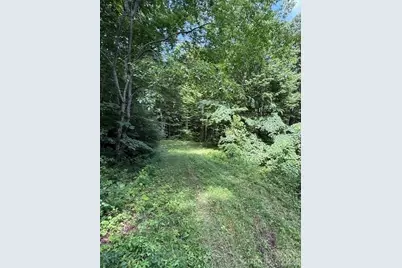 106 Avalon Gap Trail, Waynesville, NC 28785 - Photo 2