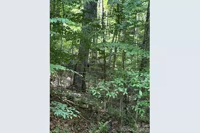 106 Avalon Gap Trail, Waynesville, NC 28785 - Photo 4