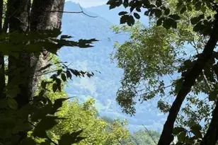 110 Cabin Ridge, Waynesville, NC 28785 - Photo 1
