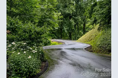 110 Cabin Ridge #110, Waynesville, NC 28785 - Photo 10