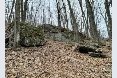 110 Cabin Ridge #110, Waynesville, NC 28785 - Photo 6