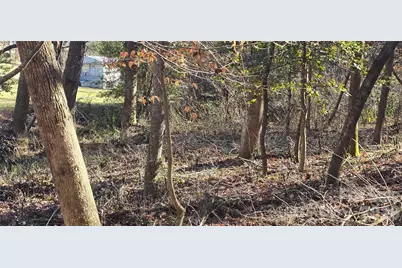 000 Peak Place NW, Lenoir, NC 28645 - Photo 10