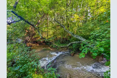 172 Lower Browns Creek Road, Burnsville, NC 28714 - Photo 8