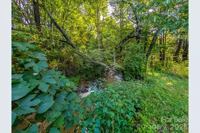 172 Lower Browns Creek Road, Burnsville, NC 28714 - Photo 28