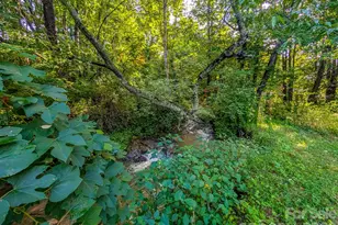 172 Lower Browns Creek Rd, Burnsville, NC 28714 - Photo 28