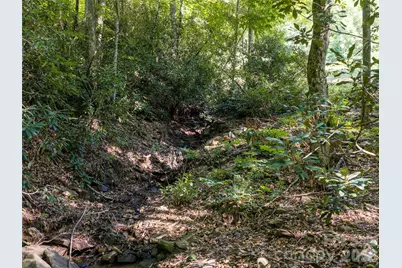 1043 Moss Creek Lane #69, Swannanoa, NC 28778 - Photo 18