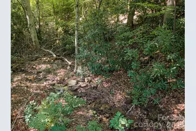 1043 Moss Creek Lane #69, Swannanoa, NC 28778 - Photo 12