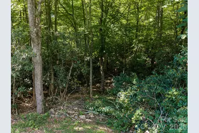 1043 Moss Creek Lane #69, Swannanoa, NC 28778 - Photo 10