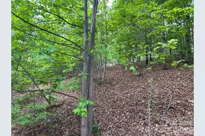 0 Azule Ridge, Bostic, NC 28018 - Photo 10