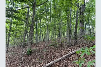 0 Azule Ridge, Bostic, NC 28018 - Photo 8