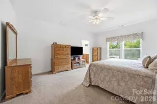 1235 Tranquil Falls Ln, Matthews, NC 28104 - Photo 18