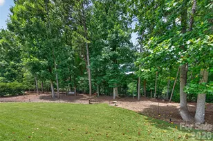 1133 Wessington Manor Ln, Fort Mill, SC 29715 - Photo 8