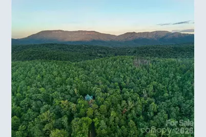 3815 Bat Cave Road, Old Fort, NC 28762 - Photo 48