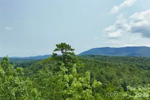 3815 Bat Cave Rd, Old Fort, NC 28762 - Photo 40