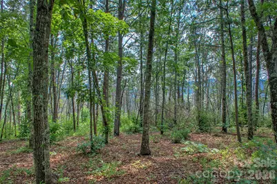 3815 Bat Cave Road, Old Fort, NC 28762 - Photo 44