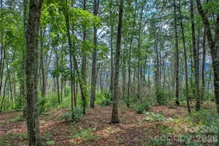3815 Bat Cave Rd, Old Fort, NC 28762 - Photo 44