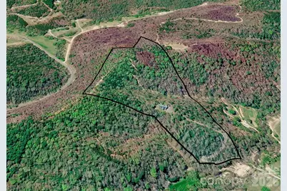 3815 Bat Cave Road, Old Fort, NC 28762 - Photo 6