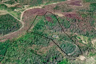 3815 Bat Cave Rd, Old Fort, NC 28762 - Photo 6