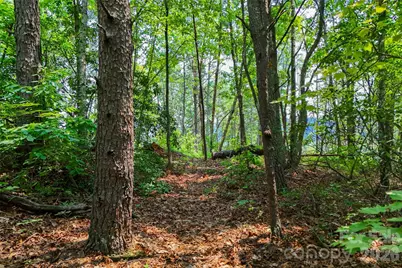 3815 Bat Cave Road, Old Fort, NC 28762 - Photo 38